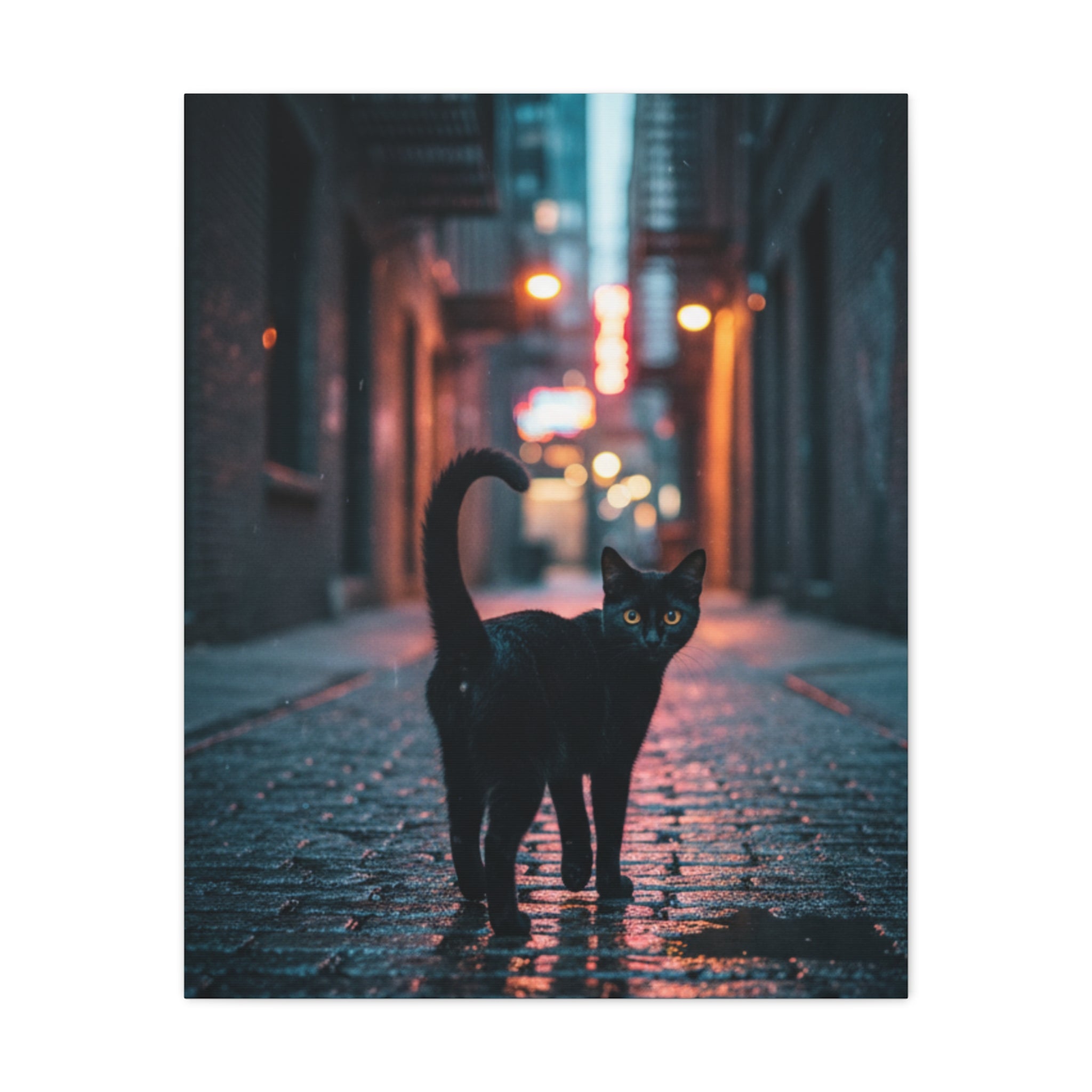 Black Cat Alley Matte Canvas Print — Noir Street Photography Wall Art