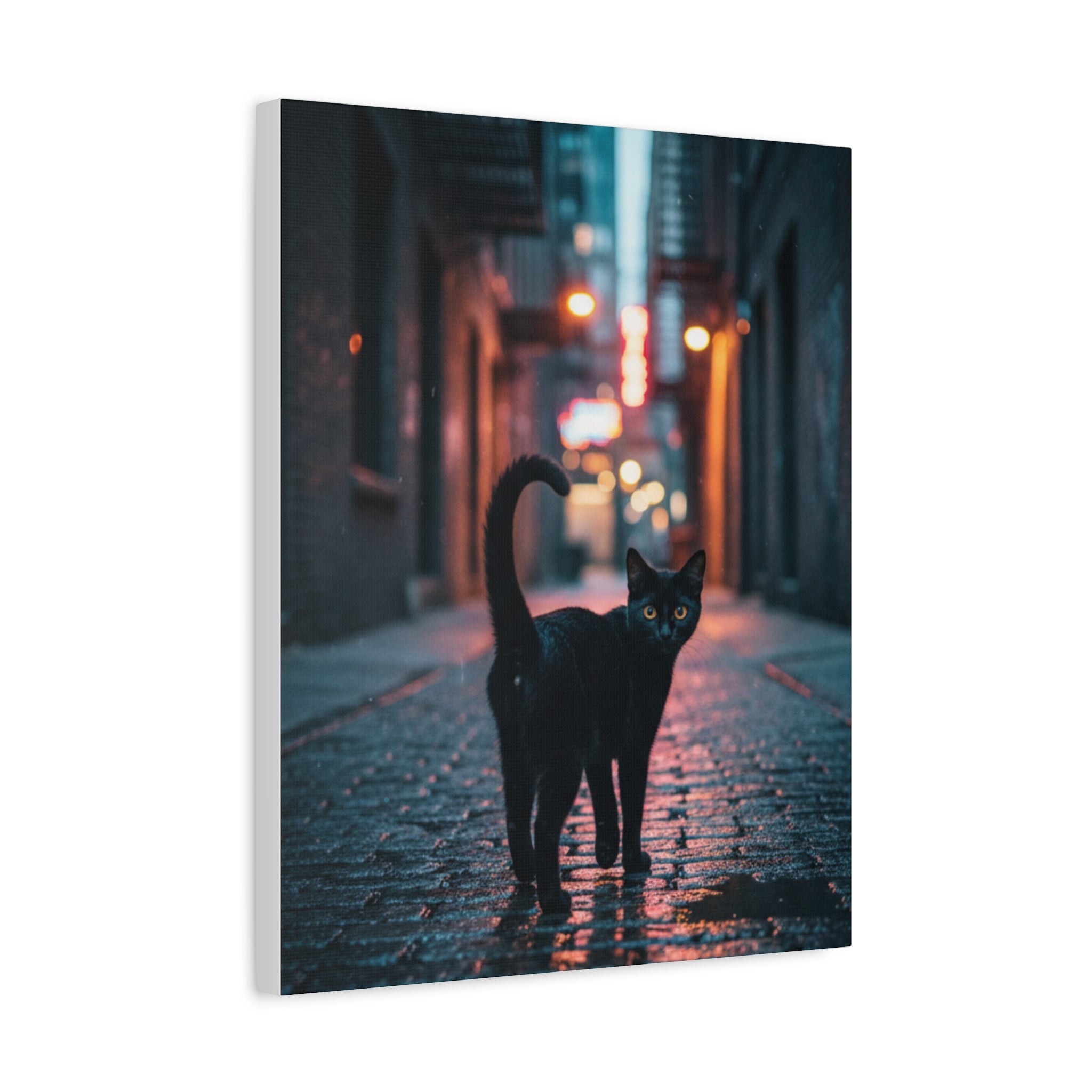 Black Cat Alley Matte Canvas Print — Noir Street Photography Wall Art