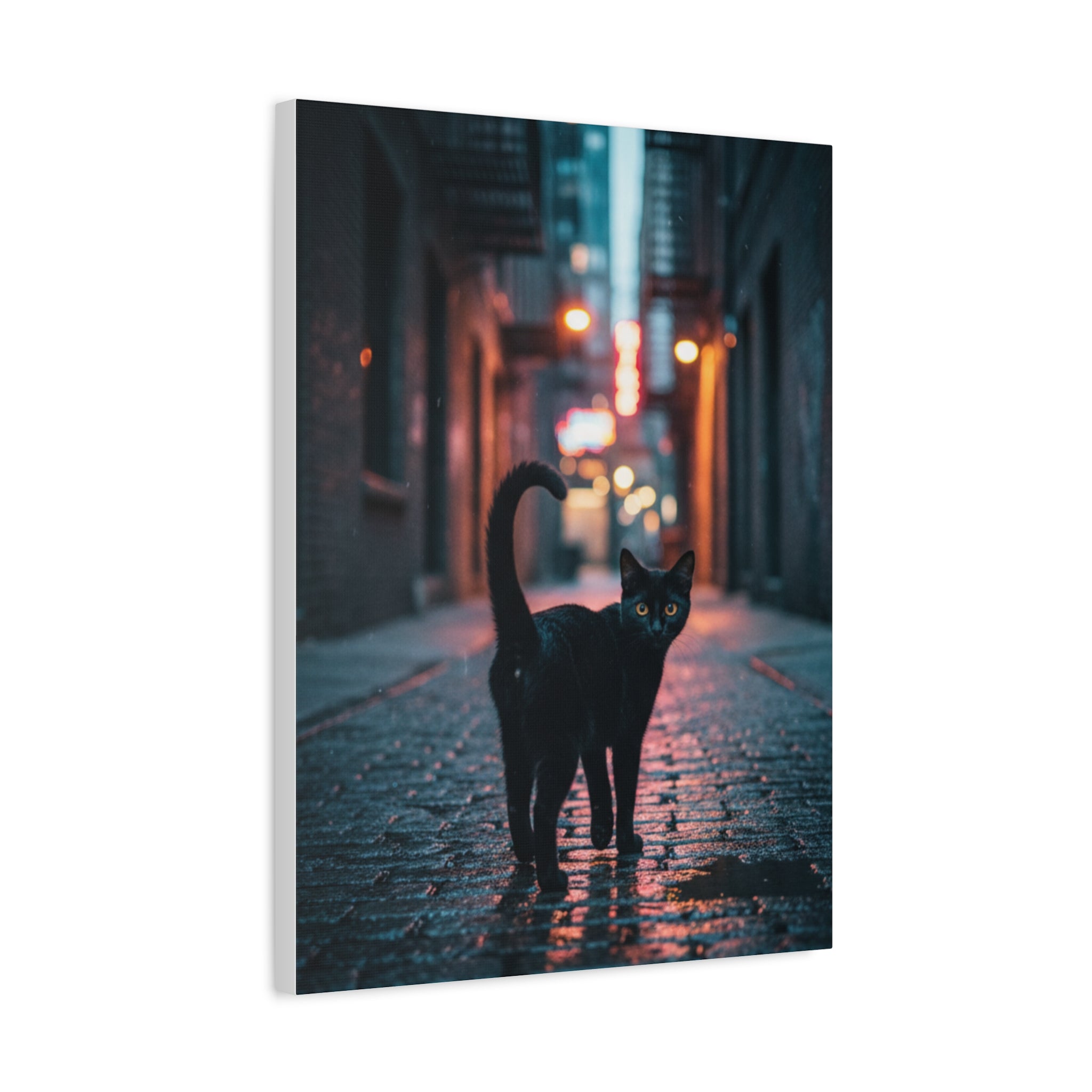 Black Cat Alley Matte Canvas Print — Noir Street Photography Wall Art
