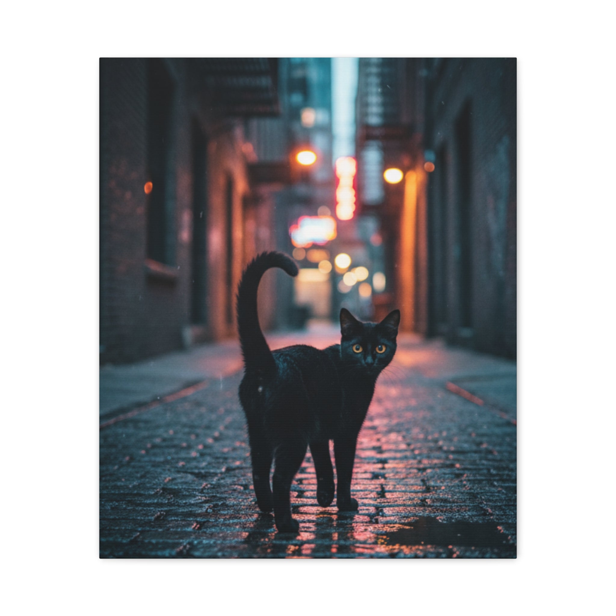 Black Cat Alley Matte Canvas Print — Noir Street Photography Wall Art