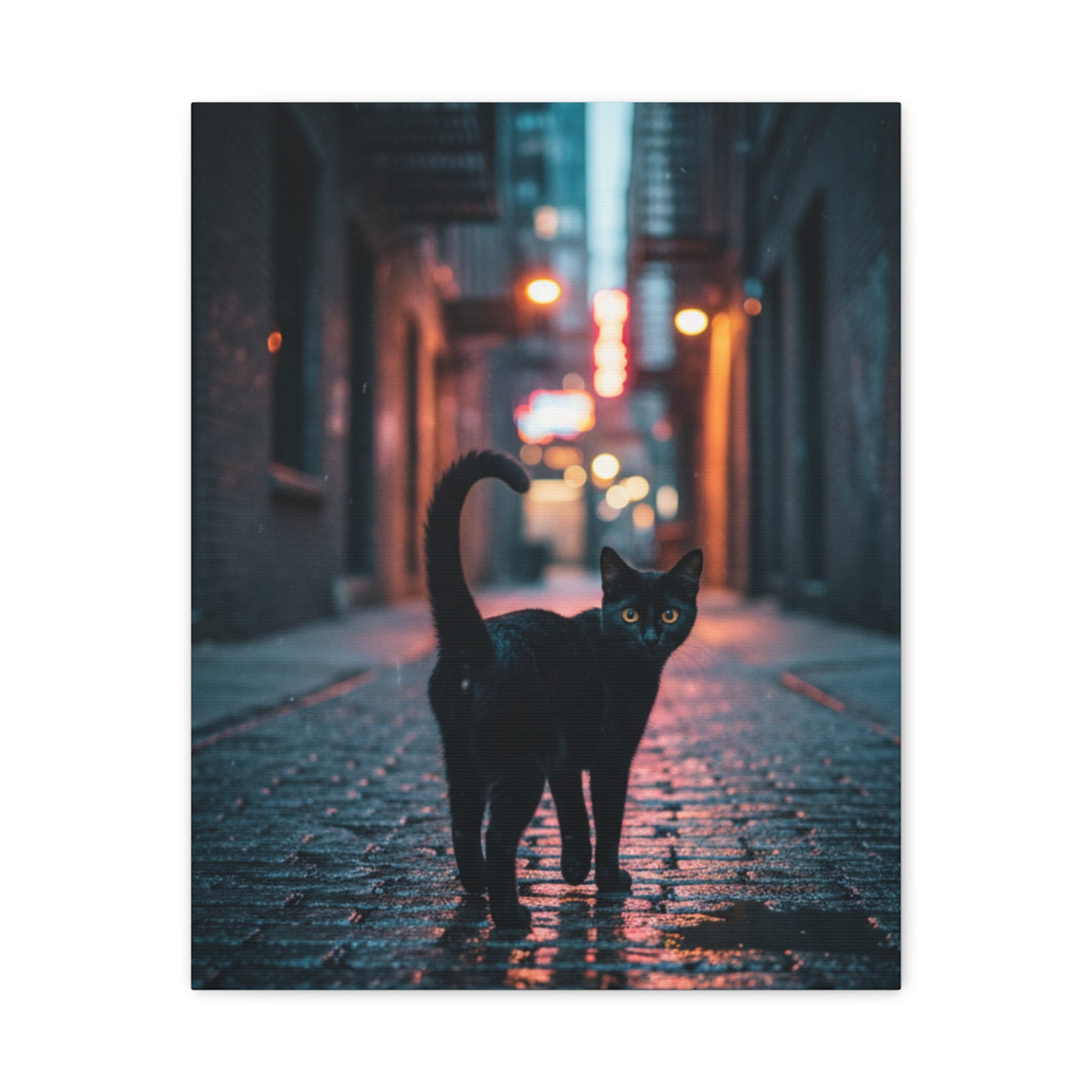 Black Cat Alley Matte Canvas Print — Noir Street Photography Wall Art