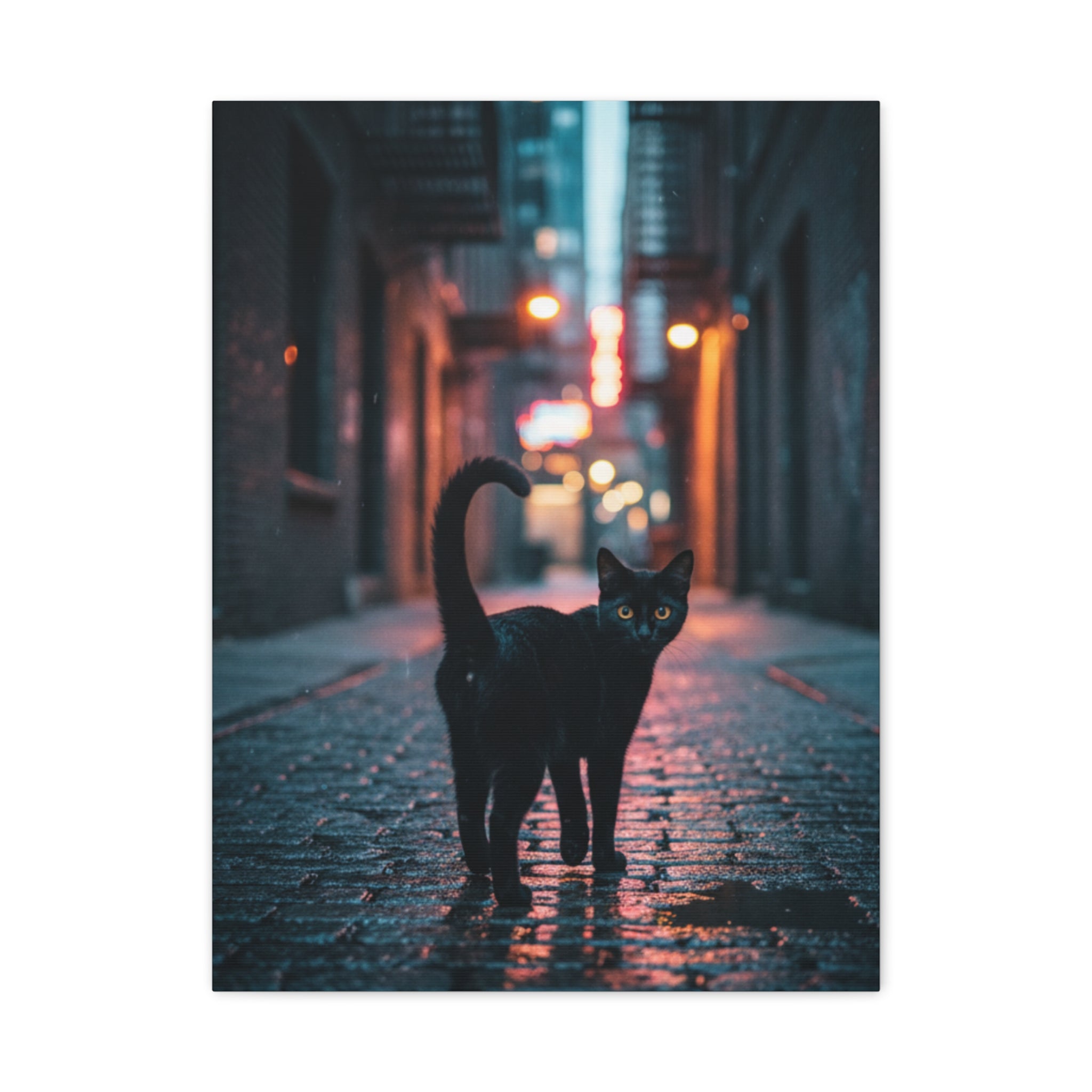 Black Cat Alley Matte Canvas Print — Noir Street Photography Wall Art