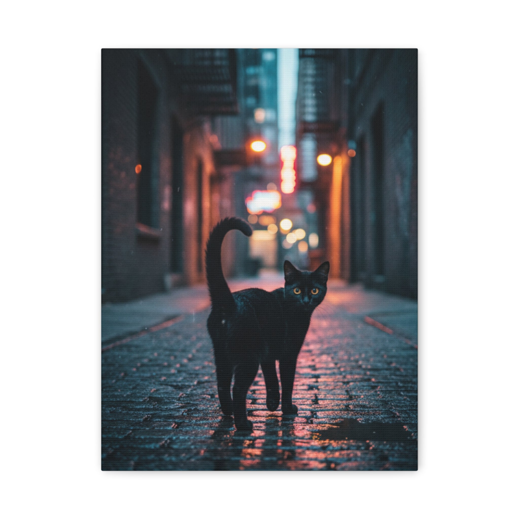Black Cat Alley Matte Canvas Print — Noir Street Photography Wall Art