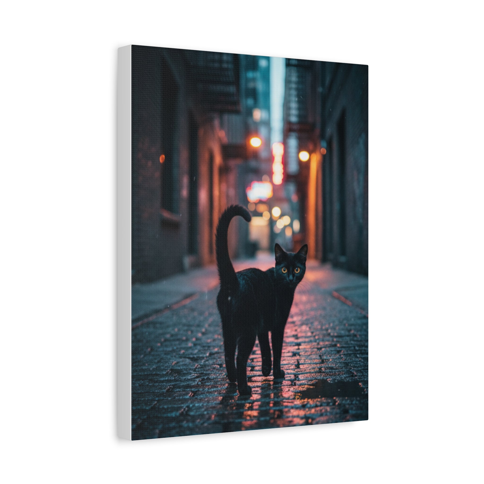Black Cat Alley Matte Canvas Print — Noir Street Photography Wall Art