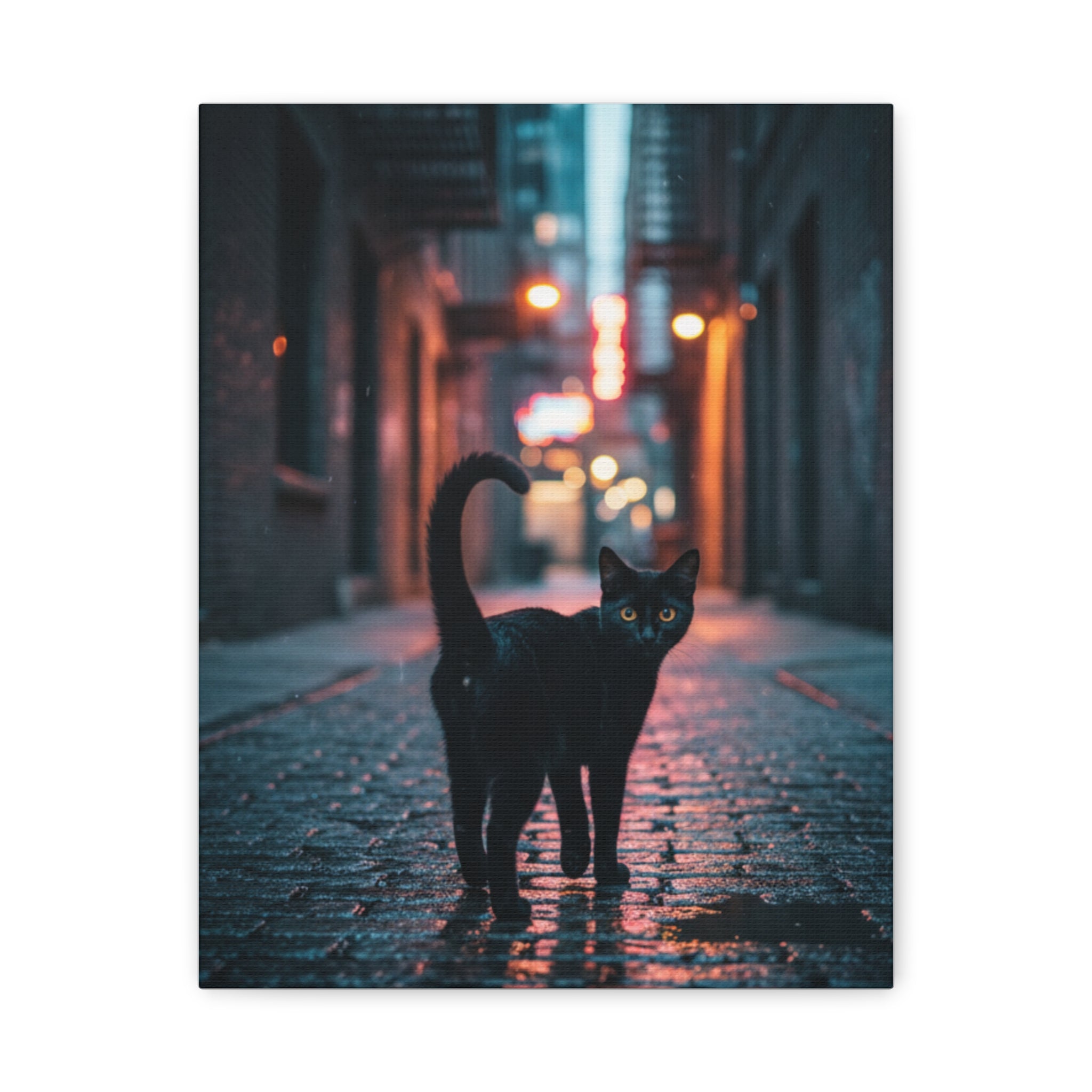Black Cat Alley Matte Canvas Print — Noir Street Photography Wall Art